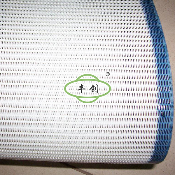 FC500塑料网带
